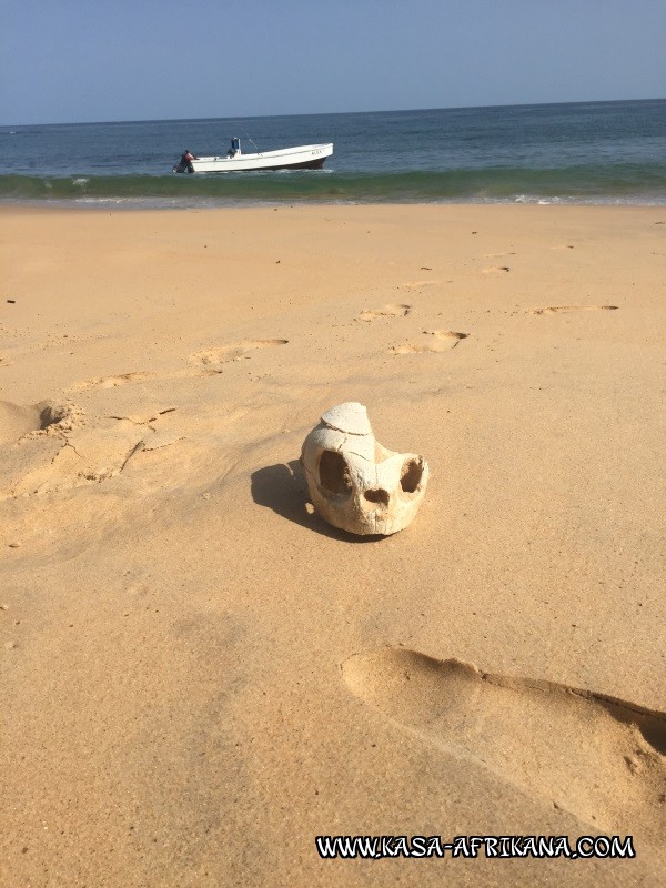 Photos de l'archipel Bijagos Guine Bissau : Pittoresque - Seule au monde