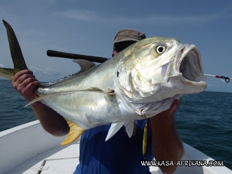 Photos Bijagos Island, Guinea Bissau : Our best catches - 