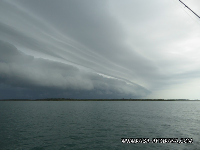 Photos Bijagos Island, Guinea Bissau : Landscape - 