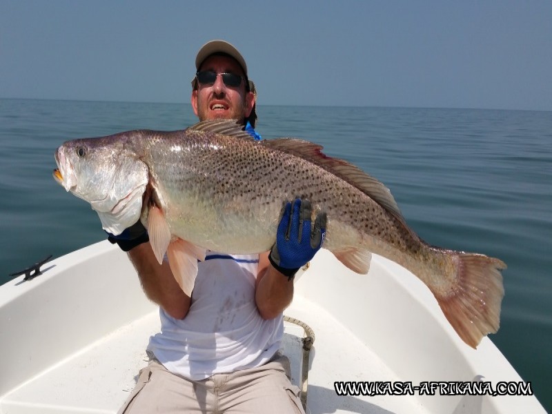 Photos Bijagos Island, Guinea Bissau : Our best catches - 