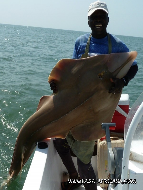 Photos Bijagos Island, Guinea Bissau : Our best catches - 