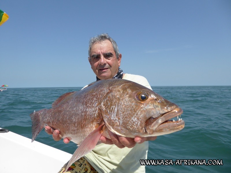 Photos Bijagos Island, Guinea Bissau : Our best catches - 