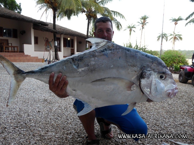 Photos de l'archipel Bijagos Guine Bissau : Spcial Carangues - Superbe poisson