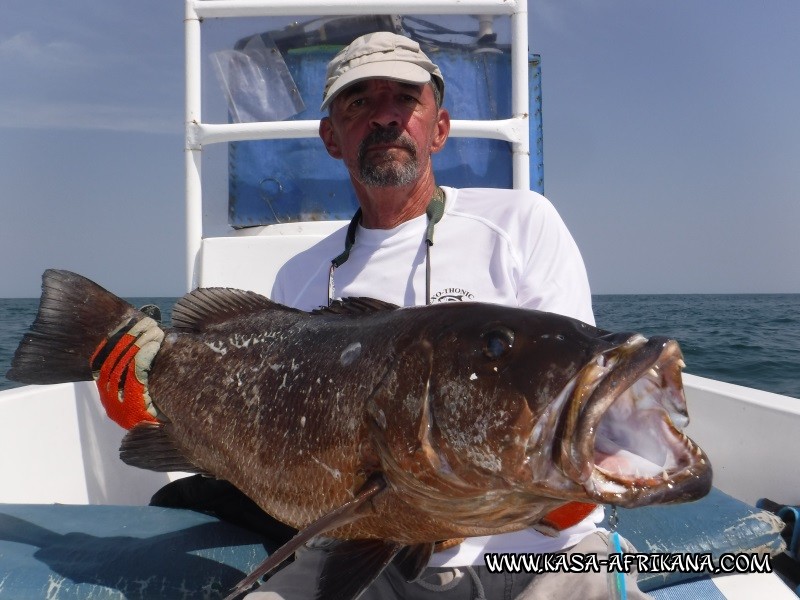 Photos Bijagos Island, Guinea Bissau : Our best catches - 