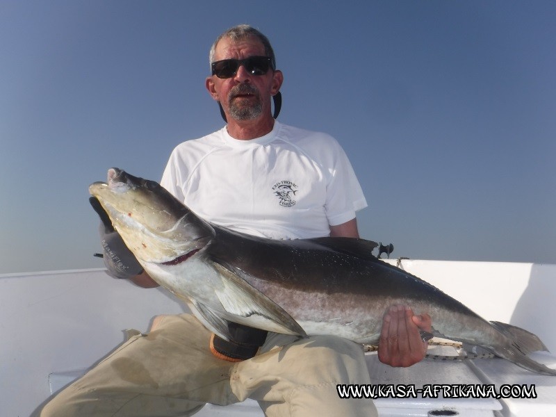 Photos Bijagos Island, Guinea Bissau : Our best catches - 