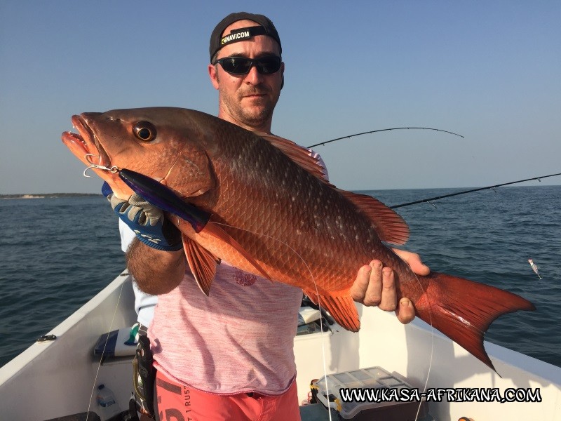 Photos Bijagos Island, Guinea Bissau : Our best catches - 