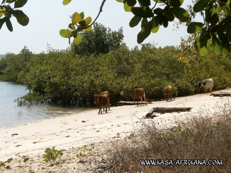 Photos Bijagos Island, Guinea Bissau : Landscape - 