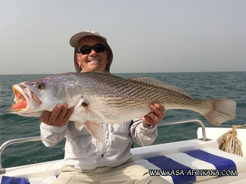 Photos de l'archipel Bijagos Guine Bissau : Nos plus belles prises - Phil a fum ce poisson