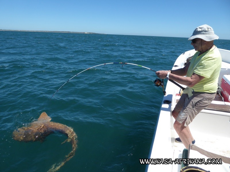 Photos Bijagos Island, Guinea Bissau : Our best catches - 