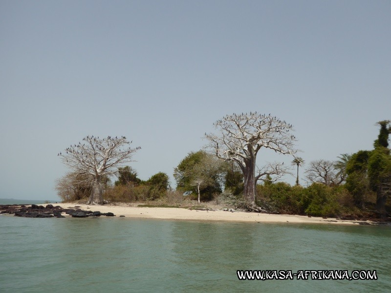 Photos Bijagos Island, Guinea Bissau : Landscape - 