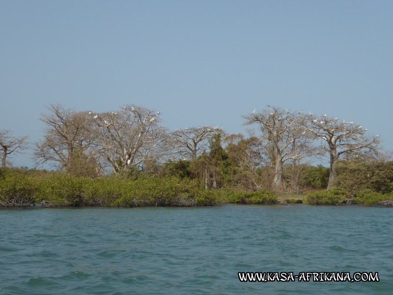 Photos Bijagos Island, Guinea Bissau : Landscape - 