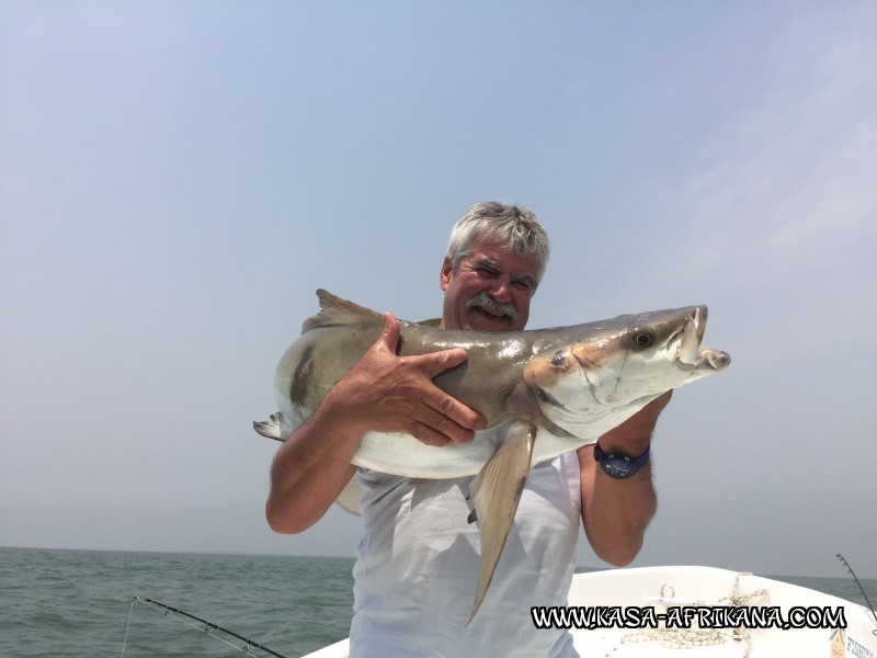 Photos de l'archipel Bijagos Guine Bissau : Nos plus belles prises - Cobia de Claude