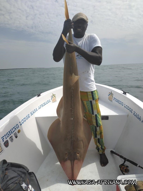 Photos Bijagos Island, Guinea Bissau : Our best catches - 