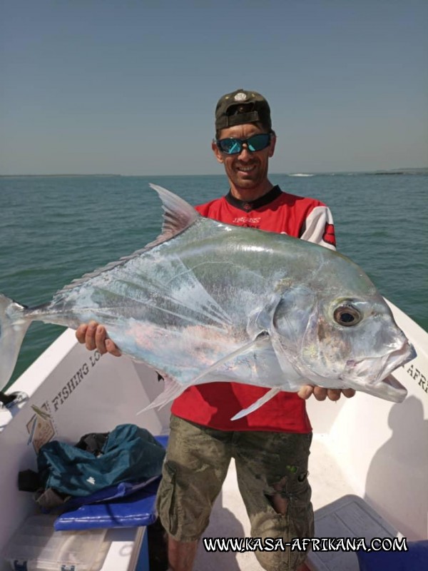 Photos de l'archipel Bijagos Guine Bissau : Spcial Carangues - Pompano de Danys