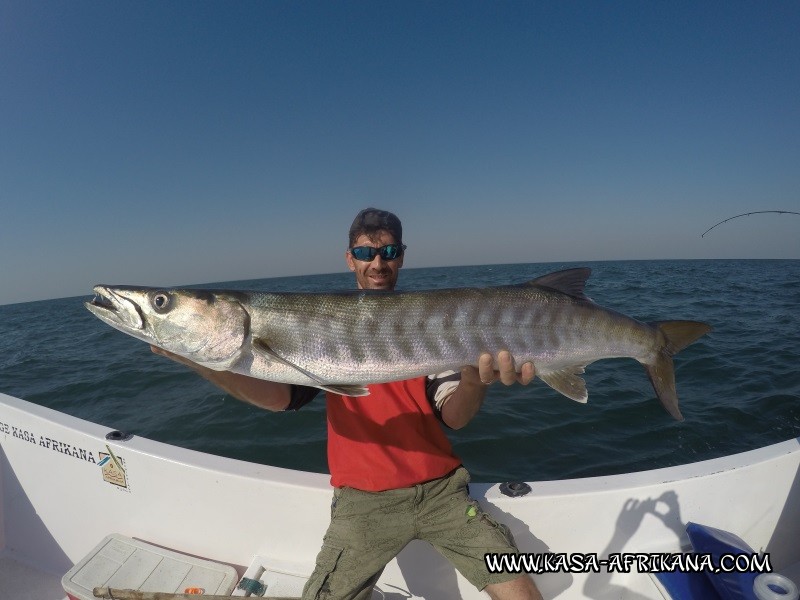 Photos de l'archipel Bijagos Guine Bissau : Nos plus belles prises - Barracuda de Danys