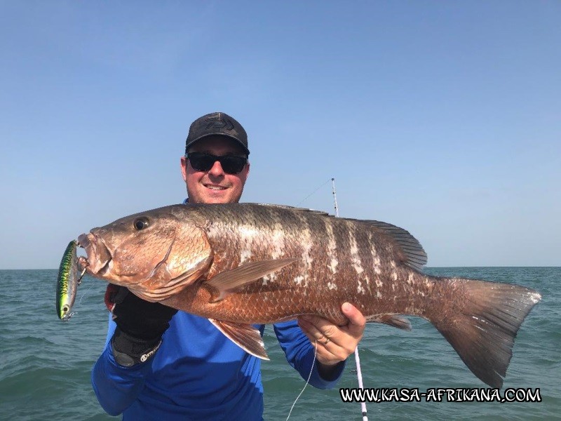 Photos Bijagos Island, Guinea Bissau : Our best catches - 