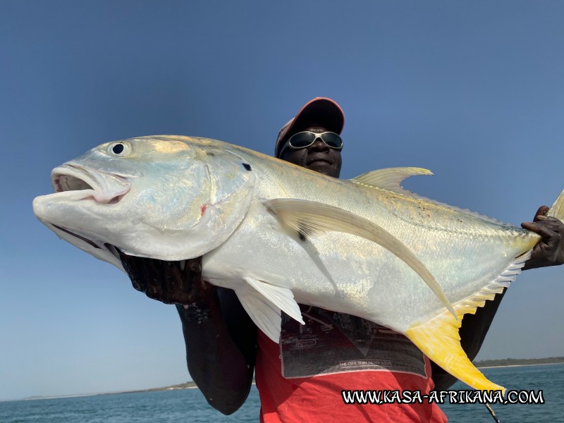 Photos Bijagos Island, Guinea Bissau : Special Jacks - 