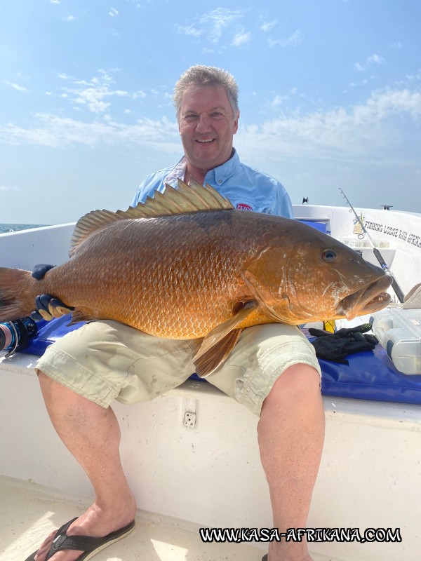 Photos Bijagos Island, Guinea Bissau : Our best catches - 