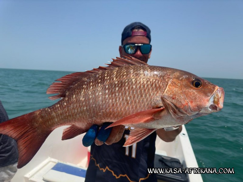 Photos Bijagos Island, Guinea Bissau : Our best catches - 