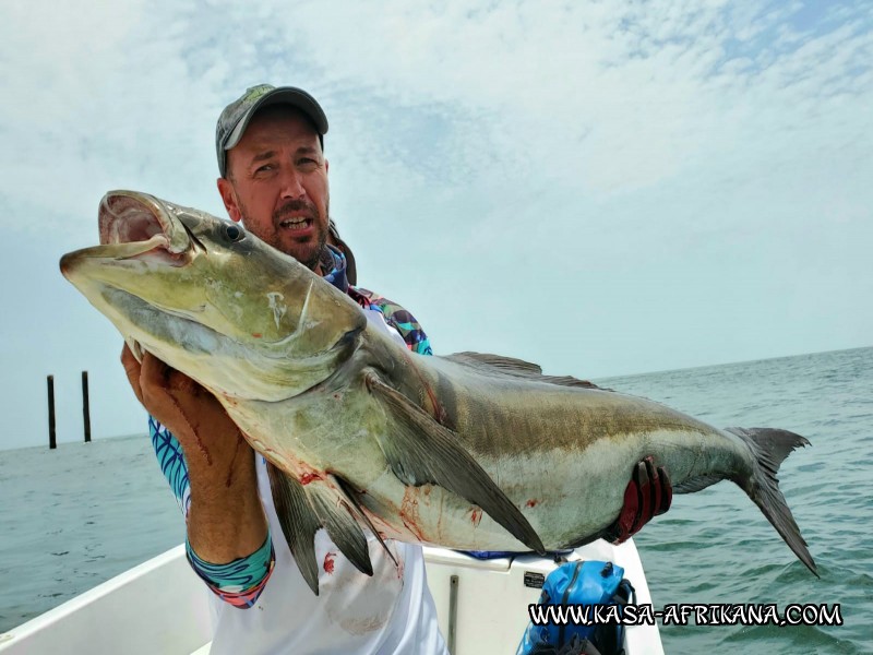 Photos Bijagos Island, Guinea Bissau : Our best catches - 