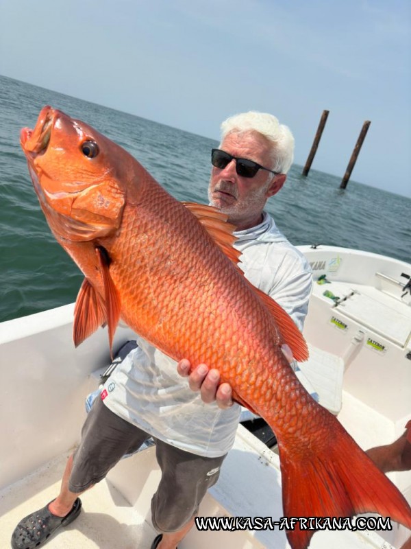 Photos Bijagos Island, Guinea Bissau : Our best catches - 