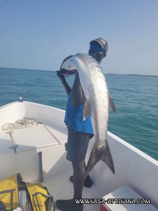 Photos Bijagos Island, Guinea Bissau : Our best catches - 