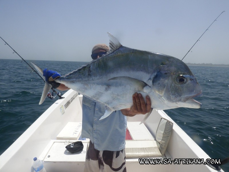 Photos Bijagos Island, Guinea Bissau : Special Jacks - 