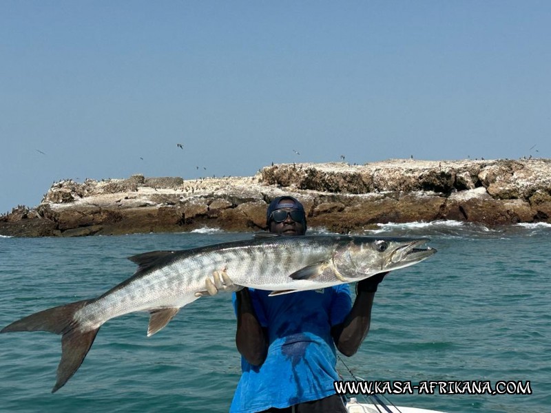 Photos Bijagos Island, Guinea Bissau : Our best catches - 