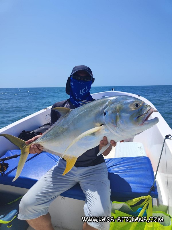 Photos Bijagos Island, Guinea Bissau : Our best catches - 