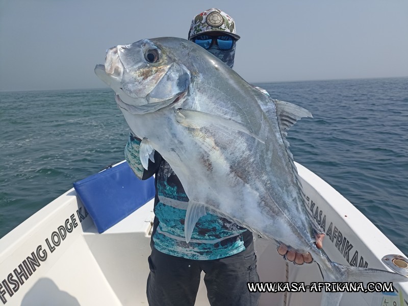 Photos Bijagos Island, Guinea Bissau : Our best catches - 