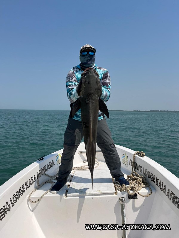 Photos Bijagos Island, Guinea Bissau : Our best catches - 