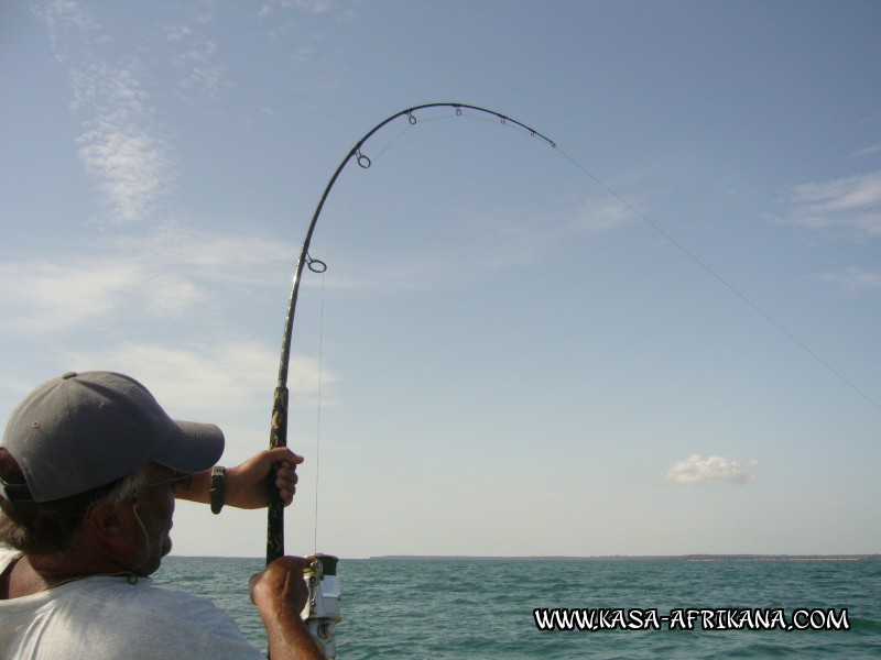 Photos Bijagos Island, Guinea Bissau : In action - Action !