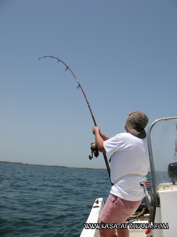 Photos Bijagos Island, Guinea Bissau : In action - Action !