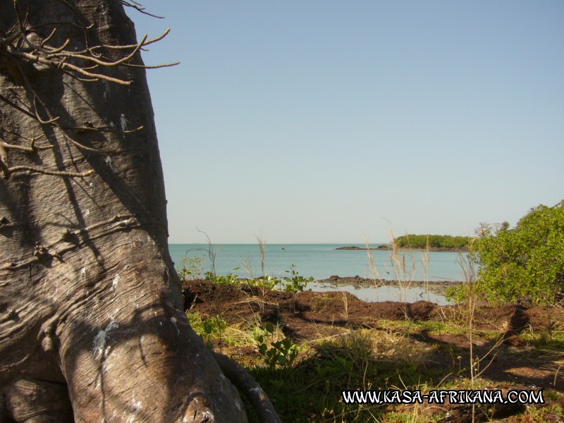 Photos Bijagos Island, Guinea Bissau : Landscape - Our landscape