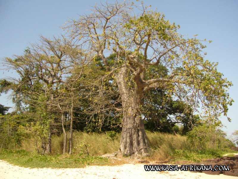 Photos de l'archipel Bijagos Guine Bissau : Paysages - Nos paysages