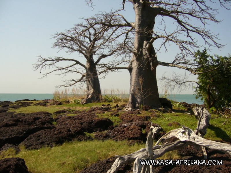 Photos Bijagos Island, Guinea Bissau : Landscape - Our landscape