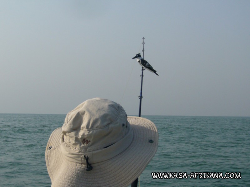 Photos Bijagos Island, Guinea Bissau : Local wildlife - On Holiday