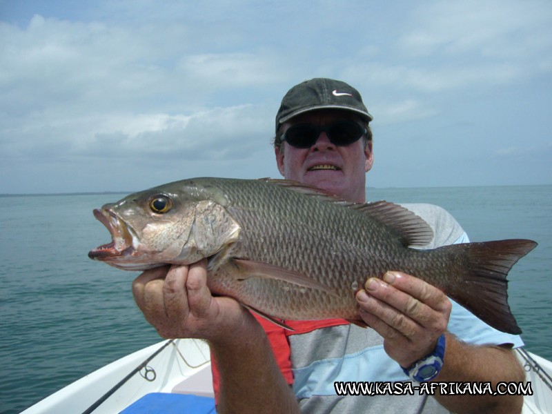 Photos de l'archipel Bijagos Guine Bissau : Poissons de l'archipel - Carpe rouge de rcif