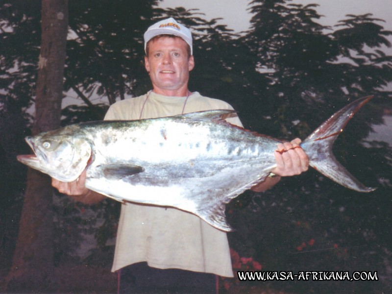 Photos Bijagos Island, Guinea Bissau : Fishes in the archipelago - Leer fish