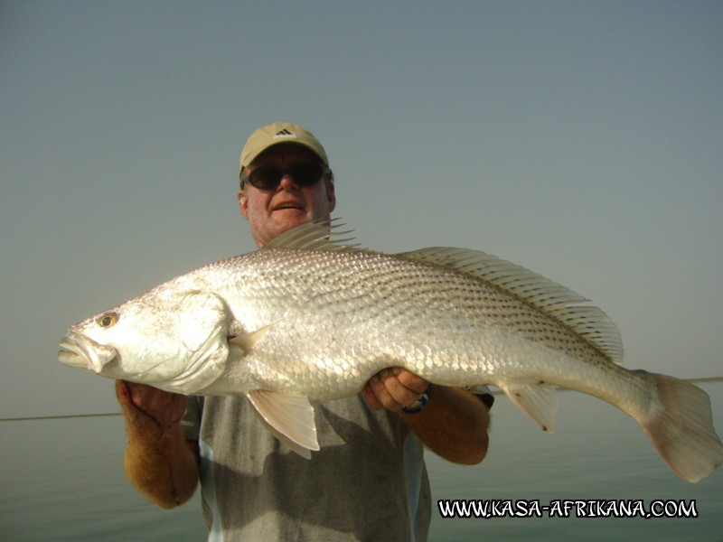 Photos de l'archipel Bijagos Guine Bissau : Poissons de l'archipel - Ombrine