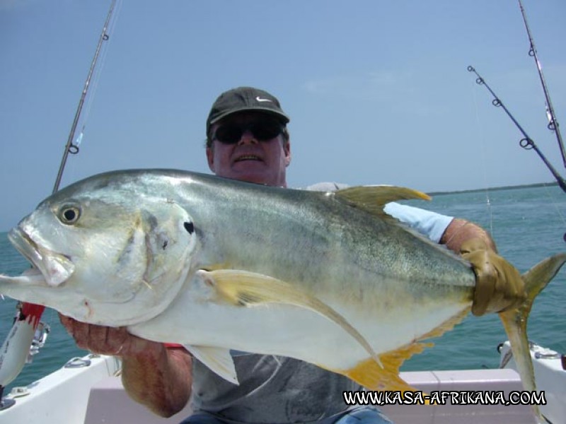 Photos Bijagos Island, Guinea Bissau : Our best catches - Bijagos jack