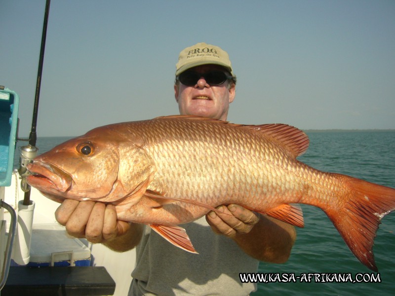 Photos Bijagos Island, Guinea Bissau : Our best catches - African red snapper