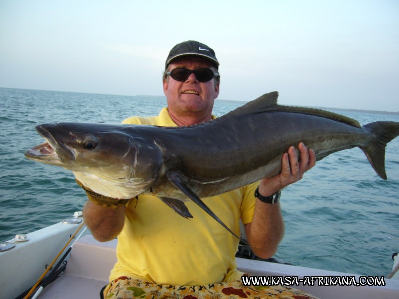 Photos Bijagos Island, Guinea Bissau : Our best catches - Cobia