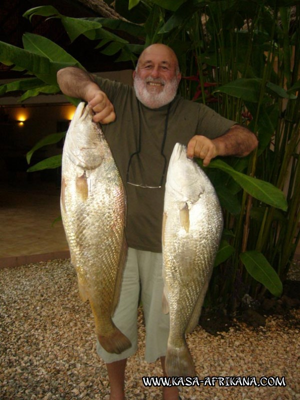 Photos Bijagos Island, Guinea Bissau : Our best catches - Umbrine