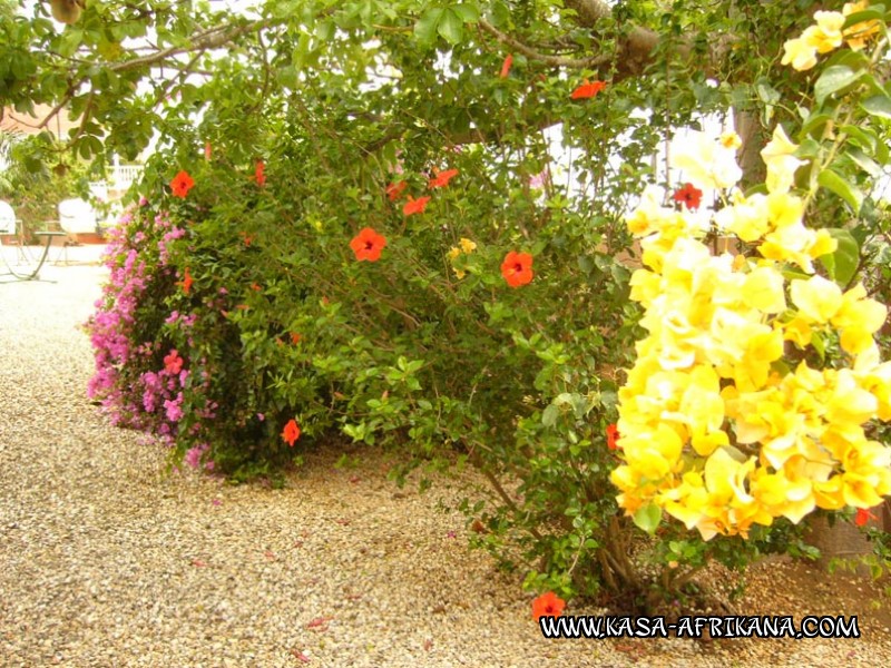 Photos de l'archipel Bijagos Guine Bissau : Jardin de l'hotel - Fleurs