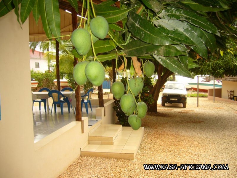Photos Bijagos Island, Guinea Bissau : The hotel garden - Mangos