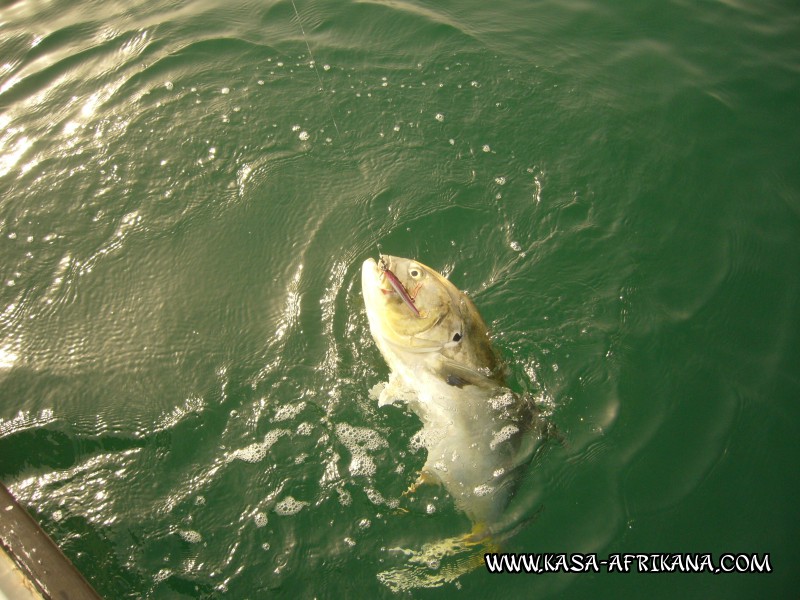 Photos Bijagos Island, Guinea Bissau : Special Jacks - Stick bait jack