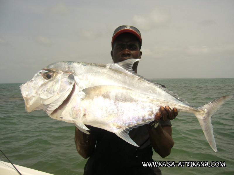 Photos de l'archipel Bijagos Guine Bissau : Spcial Carangues - Carangue pompano