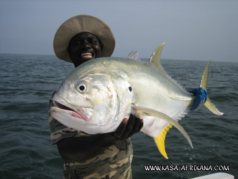 Photos de l'archipel Bijagos Guine Bissau : Spcial Carangues - Carangue hippos