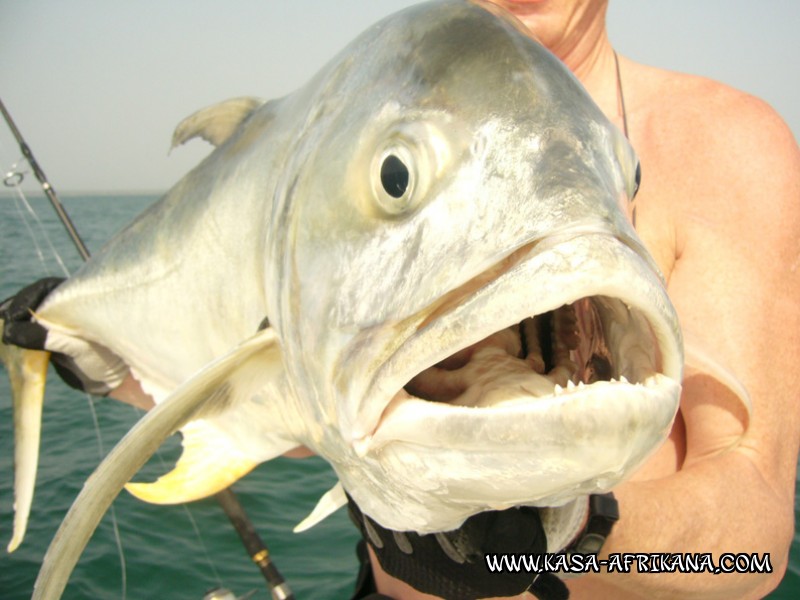 Photos de l'archipel Bijagos Guine Bissau : Spcial Carangues - Carangue hippos